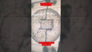 Elektrik Alan Çizgileri Elektric Field Lines