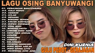 Download Lagu Album Dini Kurnia - GERIGIS, GERAJAGAN, ACLAK - Full Album Lagu Osing Banyuwangi On Trending MP3