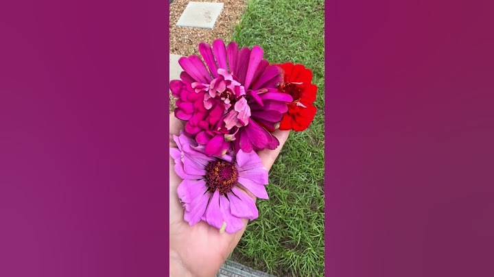 It's the Little Things #fok #mama #mom #moms #not #sahm #workingmom #flowers