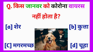 part 85 General Knowledge Most Important Question || GK Quiz || spknowledgetv