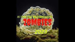 What is Klebsiella Pneumonia???