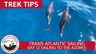 Transatlantic Sailing - Day 12 Sailing to Azores | Trek Tips