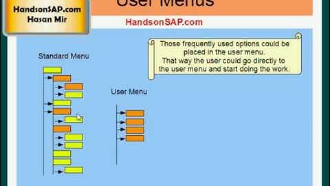 SAP ECC ERP Tutorial - SAP Terms - Part 9 of 10