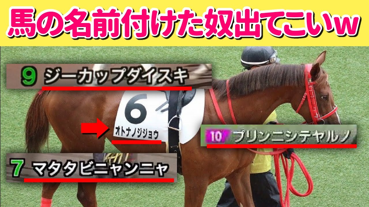 高額の命名権で面白い名前をつけられた馬達がおもしろすぎるw Part2