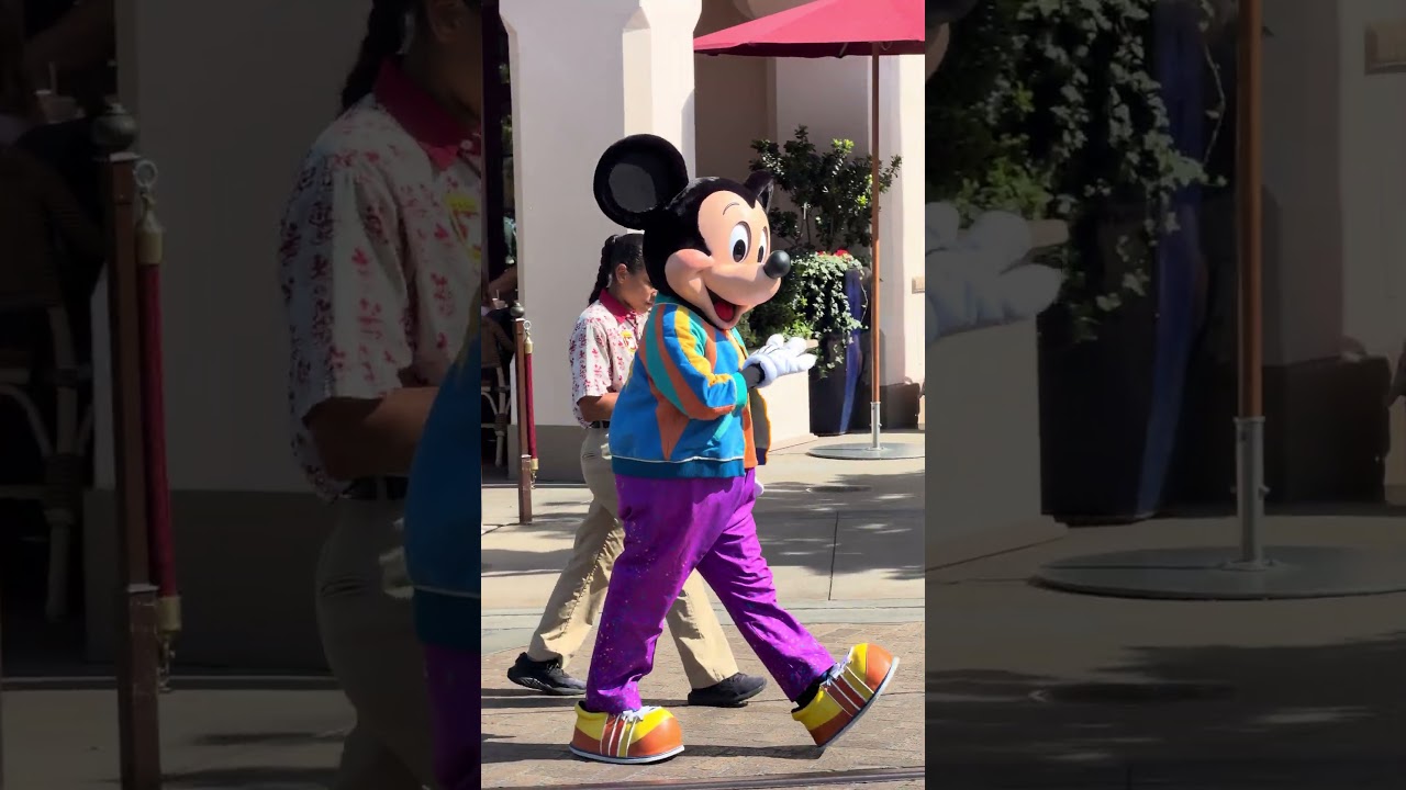Mickey Mouse Goes For a Walk