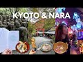 4day japan travel itinerary  kyoto  nara unique things to do places to eat travel tips