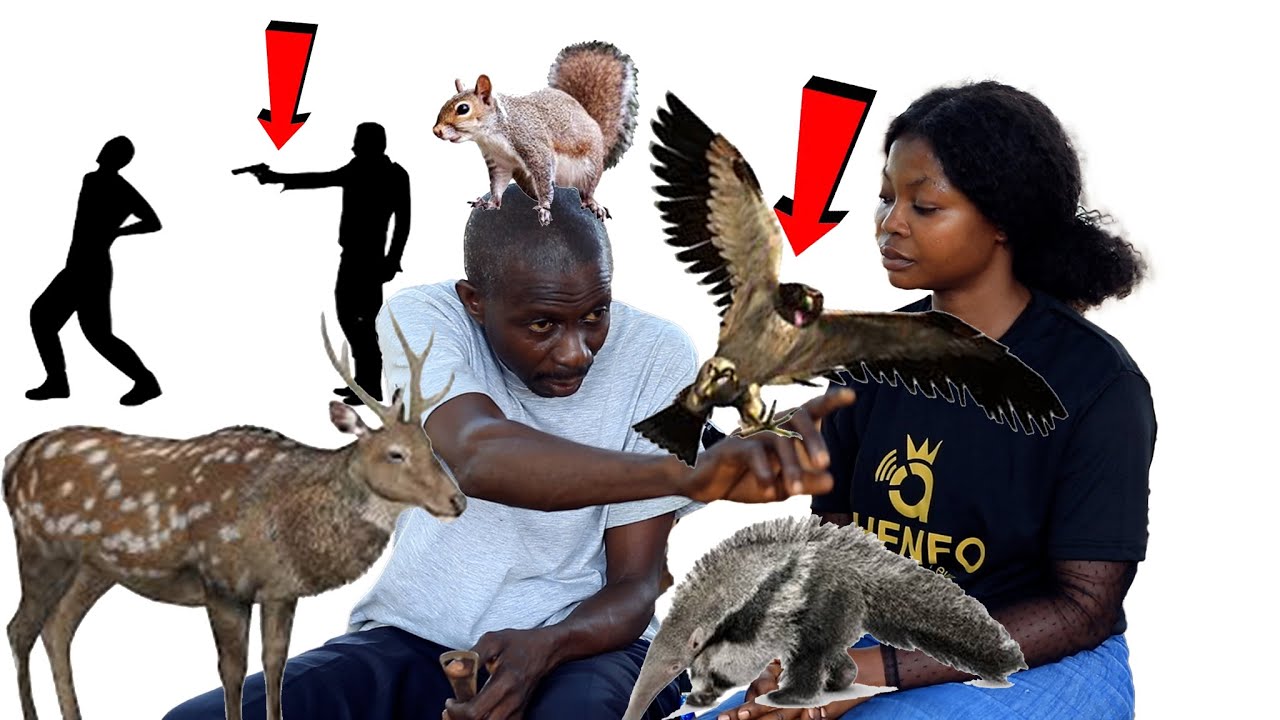 🥺 UNBELIEVABLE, All the biggest hunters shares their encounter with SPIRIT and wild ANIMALS.