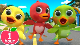 5 Little Rainbow Ducklings | Newborn Baby Songs & Nursery Rhymes