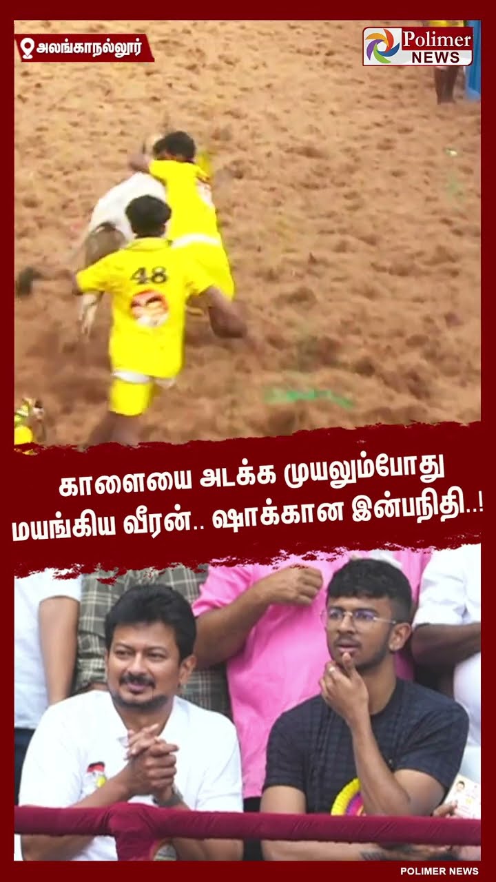 காளையை அடக்க முயலும்போது மயங்கிய வீரன்.. ஷாக்கான இன்பநிதி..!  #shorts | #alanganallurjallikattu
