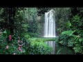 Relaxing Music Romantic Music Beautiful Relaxing Music With Nature Sounds Sleep Music Shorts mp3
