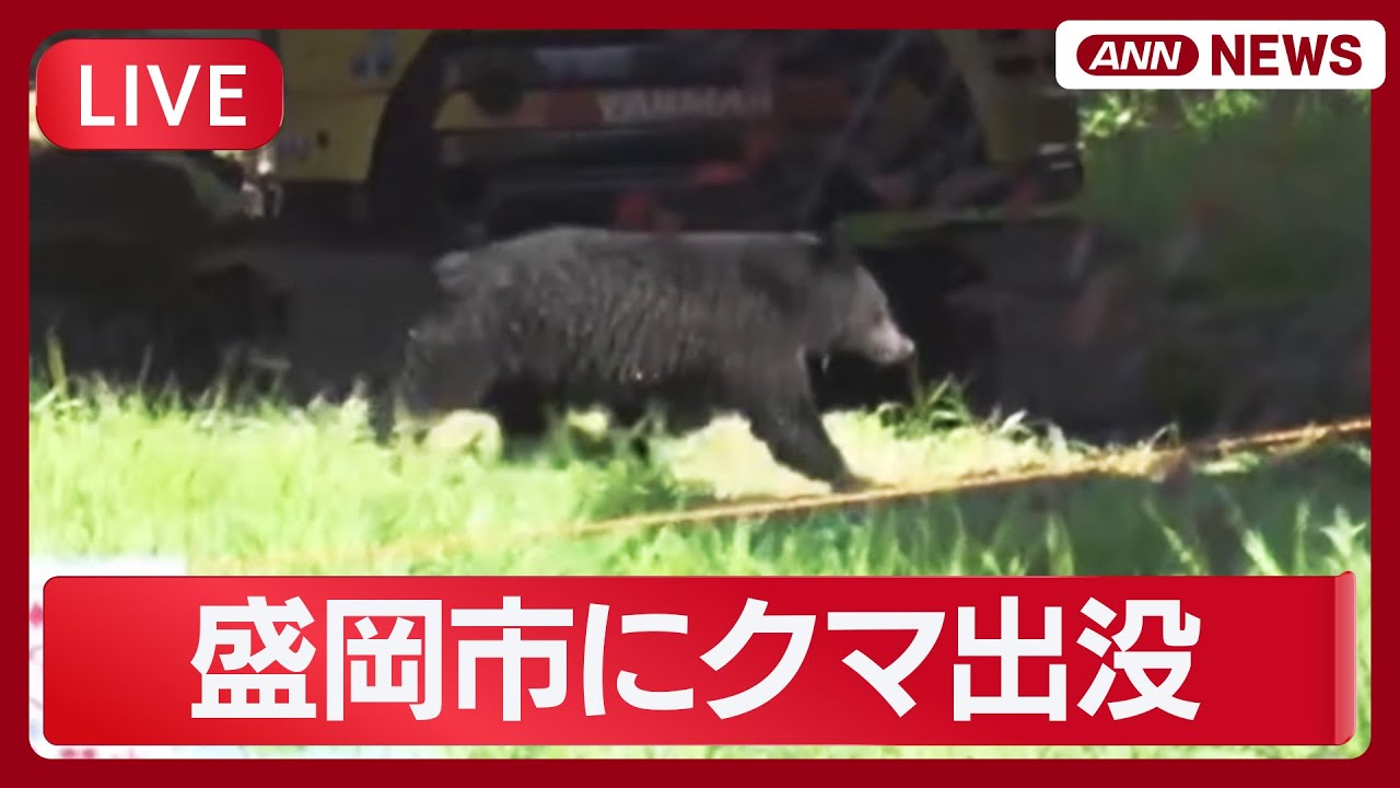 【緊急ライブ】盛岡市でクマの目撃情報　川岸を駆け上がるクマ　住宅が立ち並ぶ地域【LIVE】(2025年10月23日) ANN/テレ朝