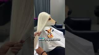 Köpeğin Bi̇nlerce Dolarlik Rutini