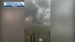 Watch: Tree Falls Towards Woman As She Records During Severe Storms In TN