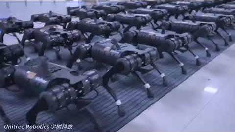 Unitree Robotics has launched mass production of its A1 robotic dogs.electricalengineer #shorts