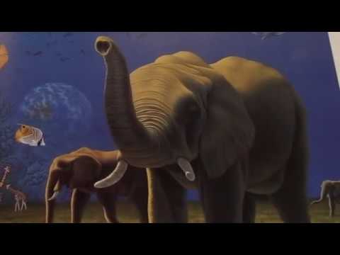YouTube player