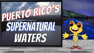 Puerto Rico's Three Bioluminescent Bays