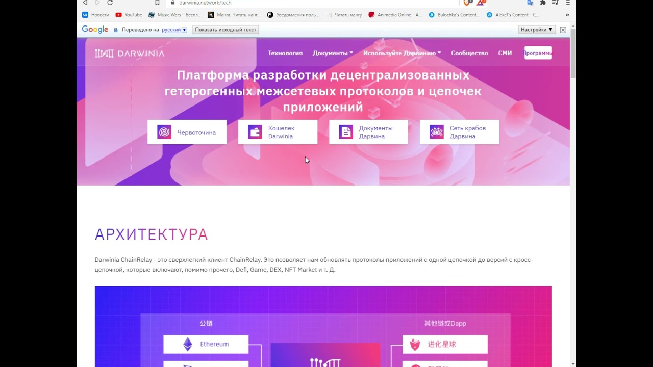 Обзор проекта Darwinia Network.