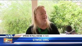 Kusi Live At St. Madeleine Sophies Center Garden For Spring