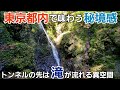 東京都内で手軽に味わう秘境感【金剛の滝】