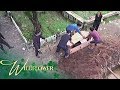 Wildflower the ardientes lock ivy inside a coffin to bury her alive  ep 162