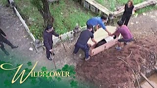 Wildflower The Ardientes Lock Ivy Inside A Coffin To Bury Her Alive Ep 162