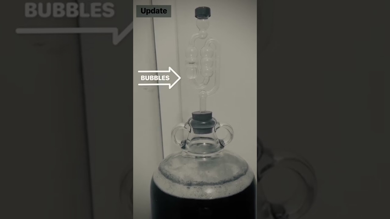 Vimto Turbo Cider ( Bubbling away nicely)