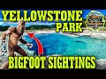 BIGFOOT SIGHTING by YELLOWSTONE Park Ranger !