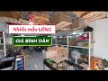 Nhiều Mẫu Lồng Chim Bình Dân, giá chỉ vài xị