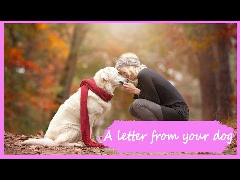 Video: Jongen Ontvangt Briefje Uit 'Doggie Heaven' Dankzij Vriendelijke Postbode