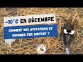 Nordic rustic  vlog   la rencontre des agrumes et avocatiers aprs 10 c dans le jardin 