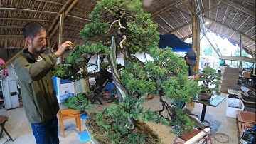 Xem nghệ nhân Nhật Bản làm bonsai ở Neo Garden Yên Dũng-Bắc Giang