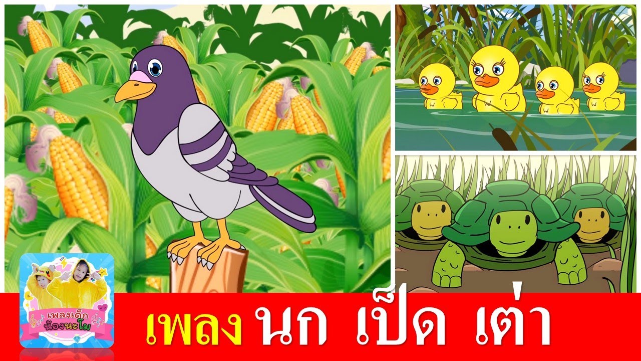 เพลงเด็กในตำนาน นก เป็ด เต่า | นกเขาบินข้ามเขา | เป็ดอาบน้ำในคลอง | เต่าเอ๋ยเต่า
