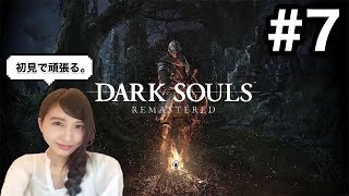 #7【アクション】DARK SOULS リマスター 初見 「根は優しい」ダークソウル 【こたば】
