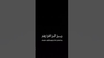 سورة الزمر بصوت الشيخ خالد الجليل #القرآن_الكريم #المصحف #لايك #حالات_واتس #الرحمن #راحة_نفسية