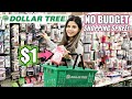 Spending TOO MUCH Money At DOLLAR TREE! NO BUDGET SHOPPING SPREE!