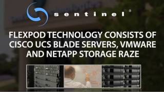 sentinel technologies