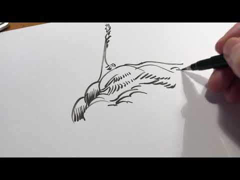 Doodle or automatic drawing demo