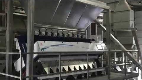 Inshell Pistachios on Meyer sorter