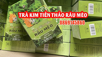Mua Trà Kim Tiền Thảo Râu Mèo Hỗ Trợ Điều Trị Sỏi Thật Hiệu Quả