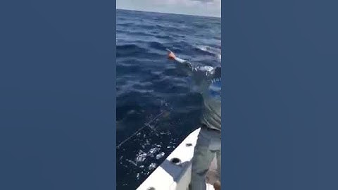 Big WAHOO 97+lbs high speed trolling sc WAHOO series