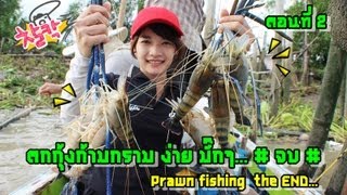 ตกกุ้งก้ามกราม ง่ายมากๆ (Easy prawn fishing) ตอนที่2#by MAYME fishingEZ