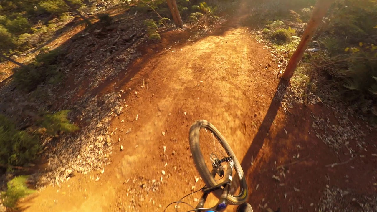 murray valley mtb trails