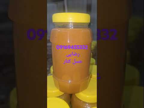 عسل کنار درجه یک عسل عسل طبیعی  عسل سدر نحل العسل نحل