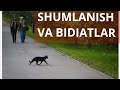 Shumlanish va bidiatlar || Shayx sodiq samarqandiy