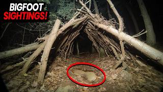 These Bigfoot Sightings Will Make You Question Everything