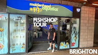 FISH SHOP TOUR AT MAIDENHEAD AQUATICS BRIGHTON