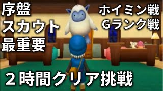 【解説実況】ＤＱＭテリーのワンダーランド３Ｄで２時間以内にミレーユ撃破挑戦した