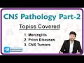 CNS Pathology Part - 2