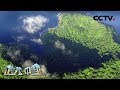 《地理·中国》 探秘自然保护区·乌岩岭迷踪 下 20191022 | CCTV科教