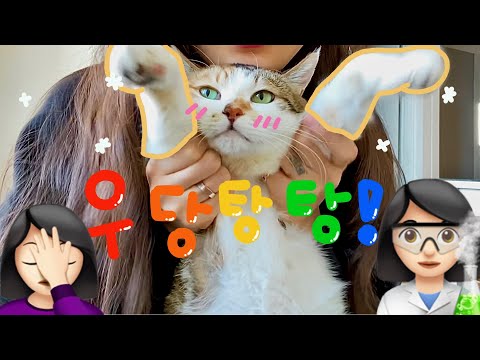 🎈우당탕탕🎈옷방정리/옷방꾸미기/템바보드/타일매트 이것저것VLOG❤️내 노동은 프리..💬